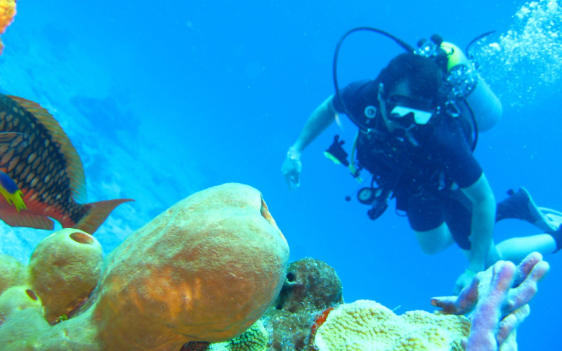 Reef diving