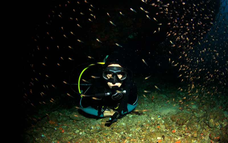Night dive